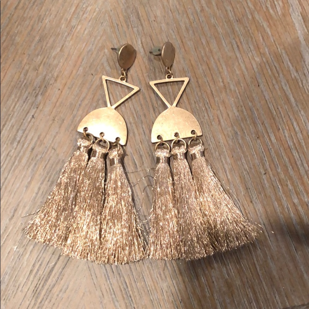 Rose gold tassle earrings